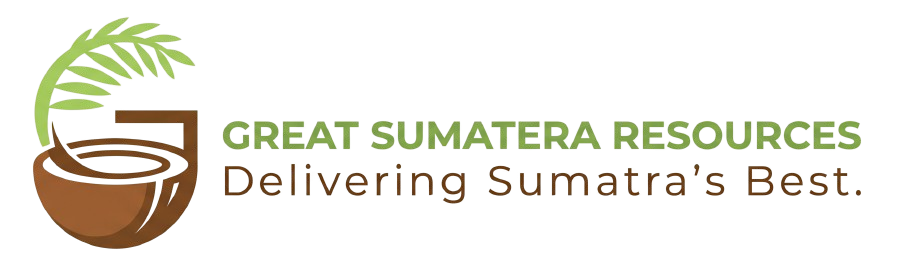 GSR Logo
